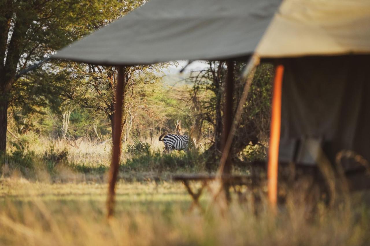 ホテル Zawadi Camp セレンゲティ エクステリア 写真