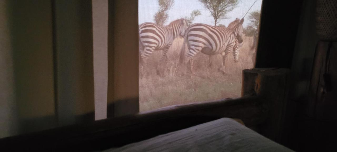 ホテル Zawadi Camp セレンゲティ エクステリア 写真