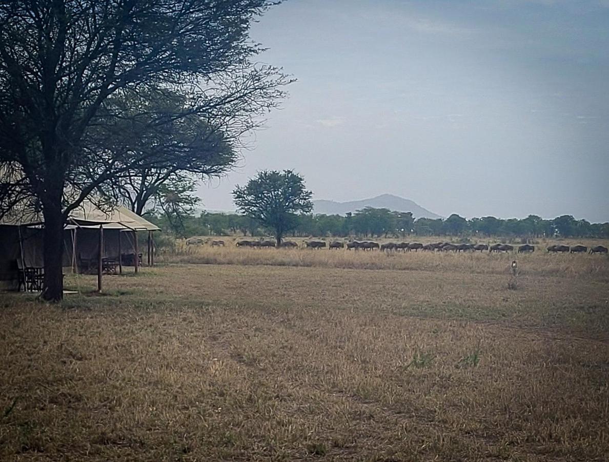 ホテル Zawadi Camp セレンゲティ エクステリア 写真