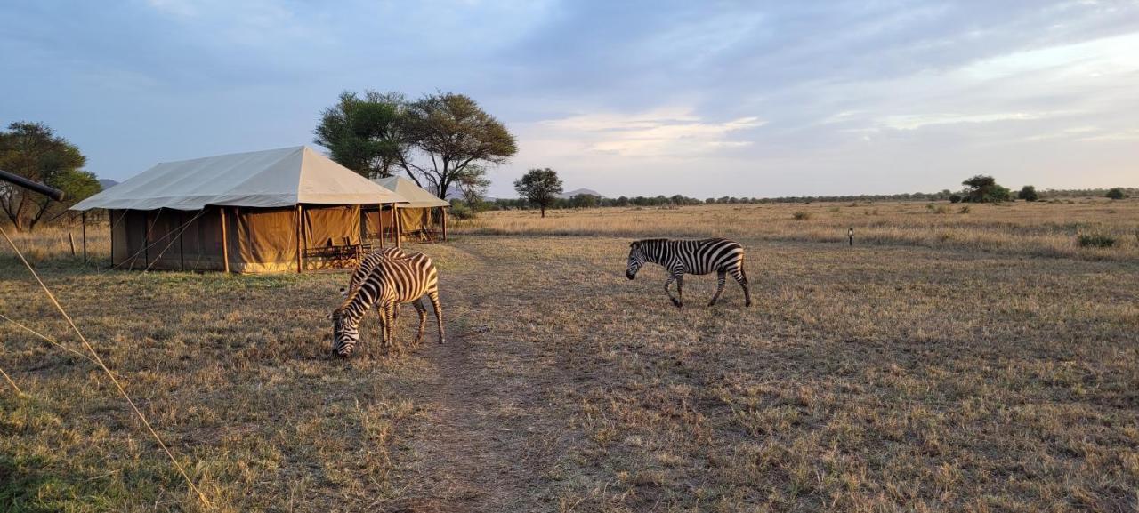 ホテル Zawadi Camp セレンゲティ エクステリア 写真