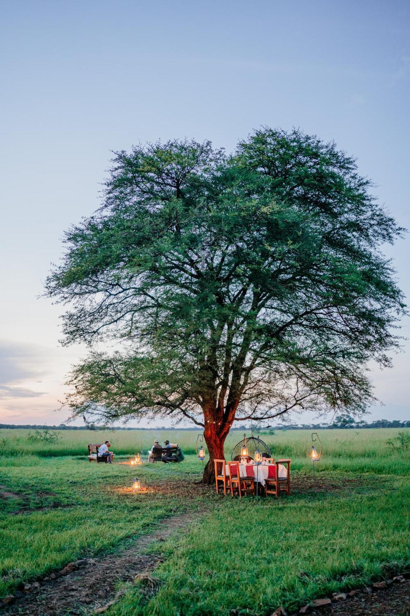ホテル Zawadi Camp セレンゲティ エクステリア 写真