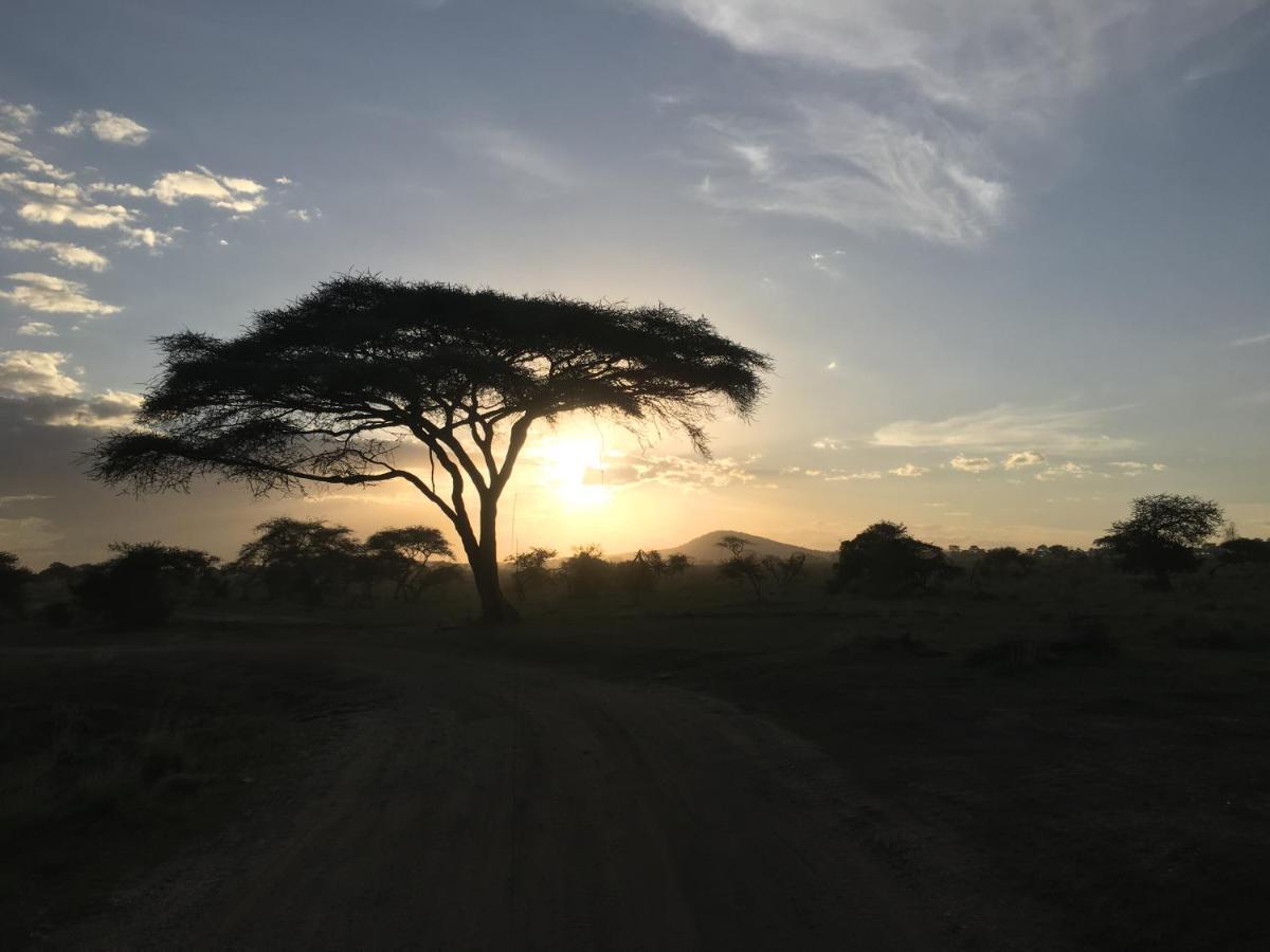 ホテル Zawadi Camp セレンゲティ エクステリア 写真