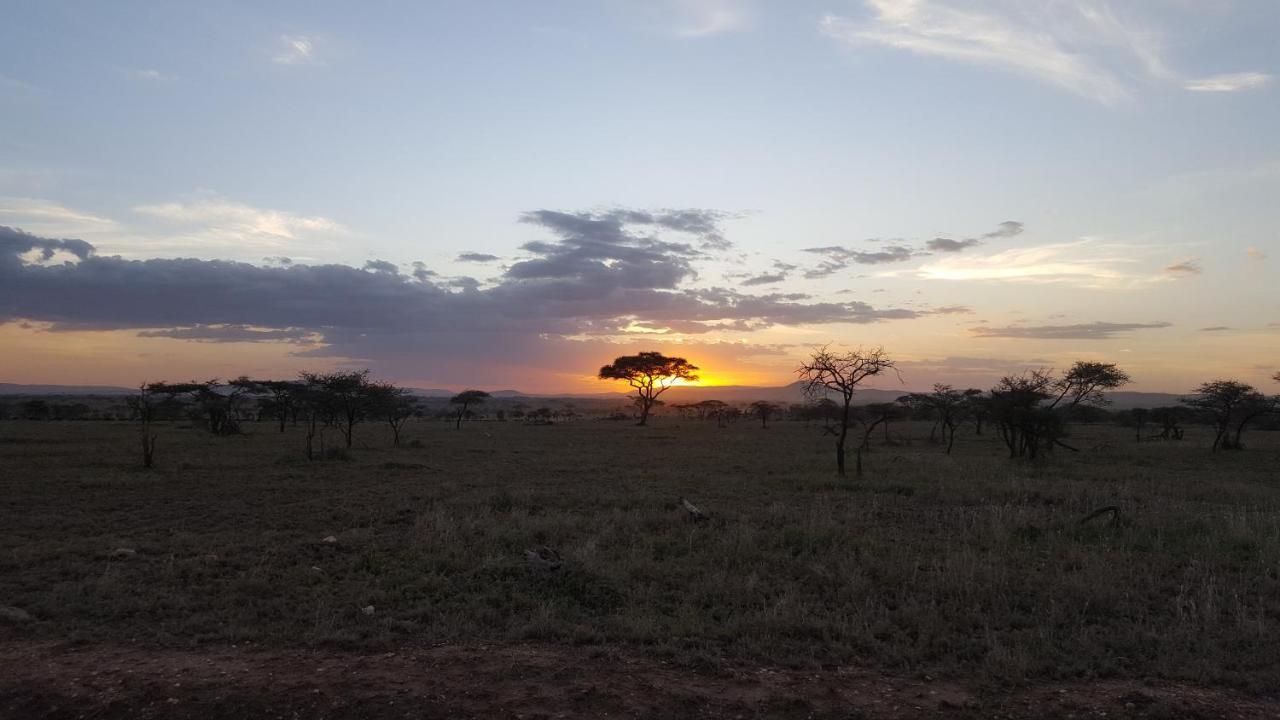 ホテル Zawadi Camp セレンゲティ エクステリア 写真